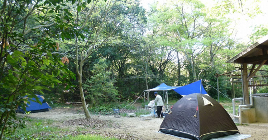 堀越キャンプ場