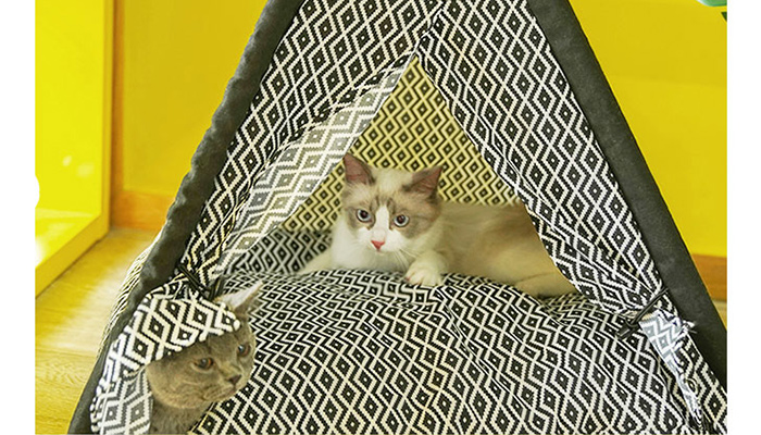 クッションつきティッピーテント1ネコ用テント家キャンで癒されたい