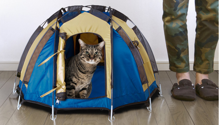 ドデカヒードロンテント1ネコ用テント家キャンで癒されたい