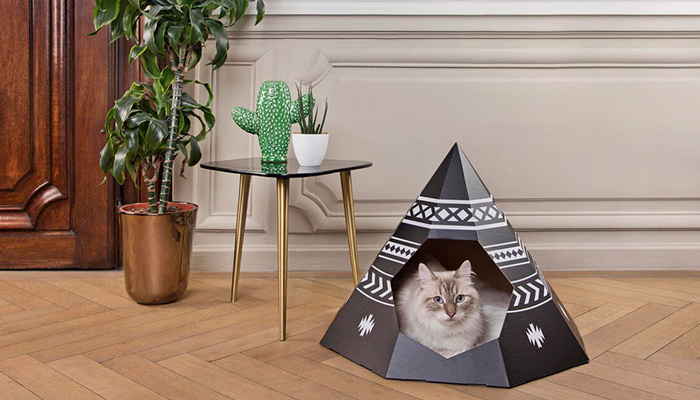 段ボール猫ハウス1ネコ用テント家キャンで癒されたい