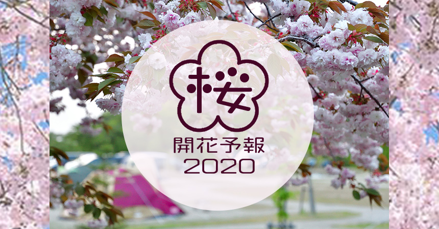 2020年桜開花予想春キャン開始だ